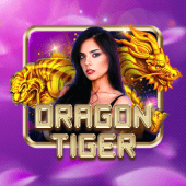 Dragon Tiger Arina Plus live casino card