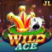 Wild Ace Arina Plus slot card